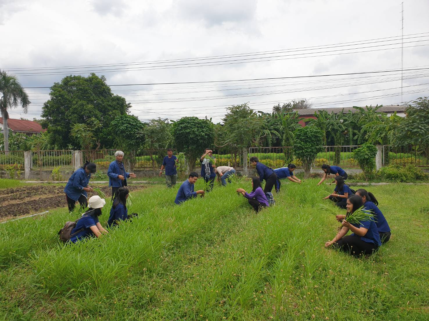 รูปภาพ